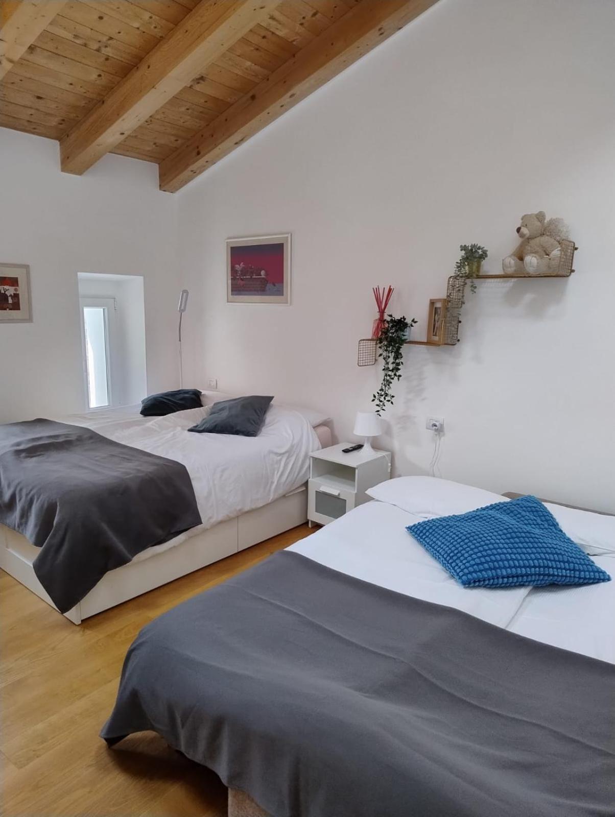 Boutique Apartments Cecilia ترييستي المظهر الخارجي الصورة